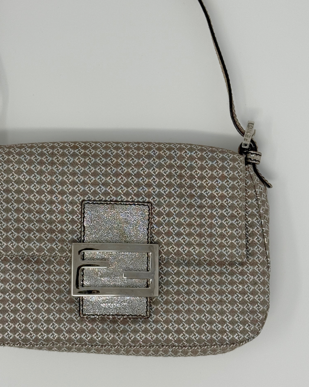 Patterned pouch with a metallic buckle on a light gray background